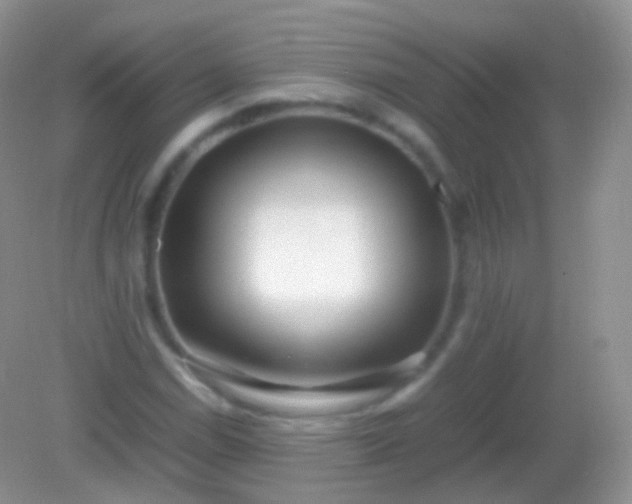 X0000082151114200701262301