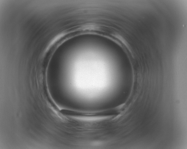 X0000082151115200701262301