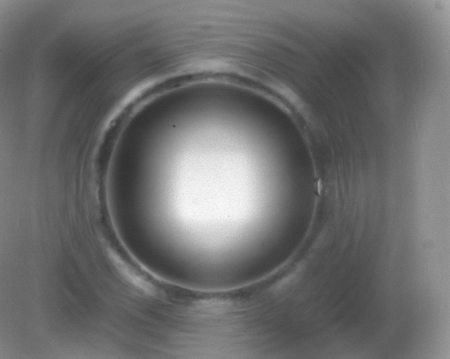 X0000082151118200701262301