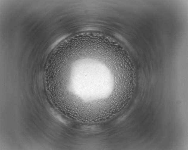 X0000082151121200701262301