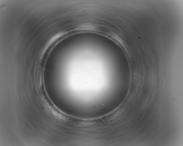 X0000082151123200701262301