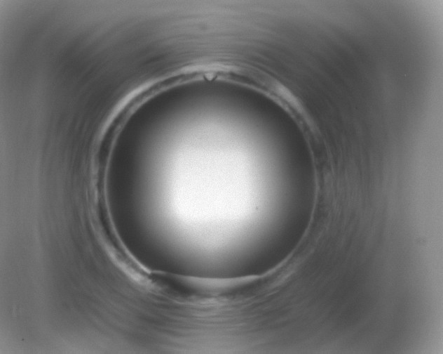 X0000082151124200701262301