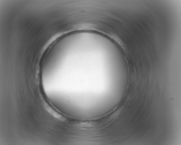 X0000082151126200701262301