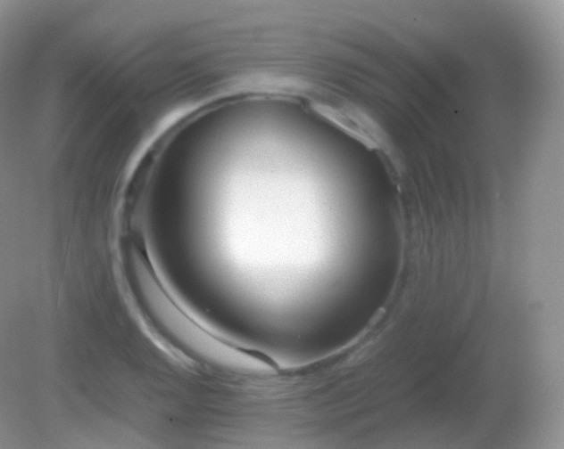 X0000082151128200701262301