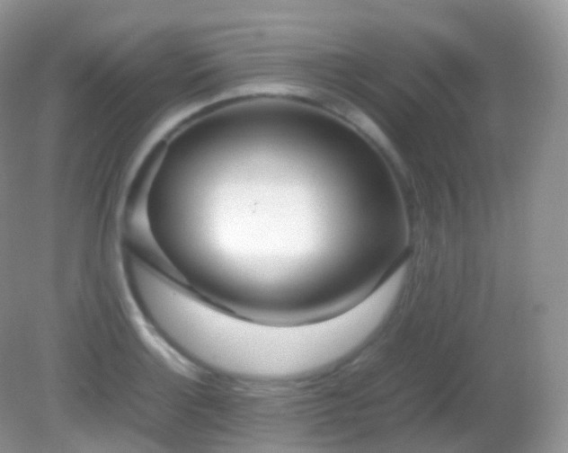 X0000082151132200701262301