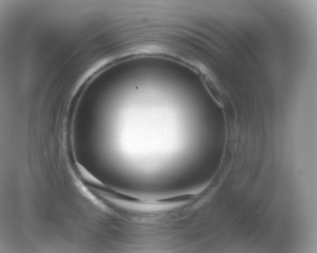 X0000082151134200701262301