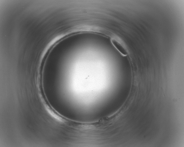 X0000082151136200701262301