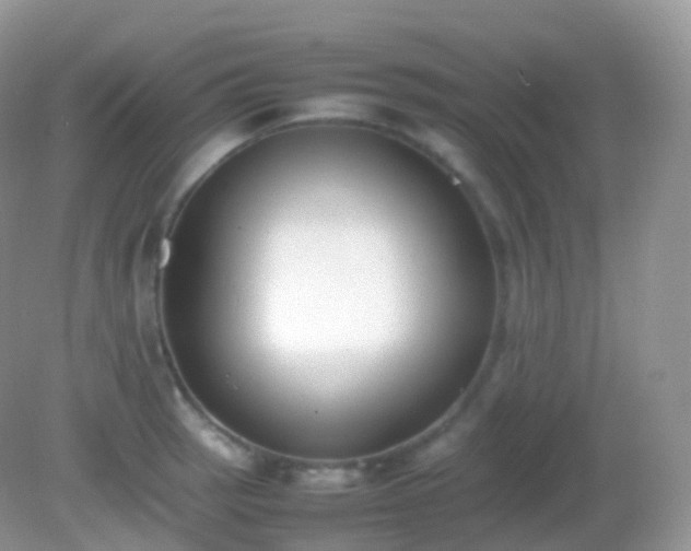 X0000082151137200701262301