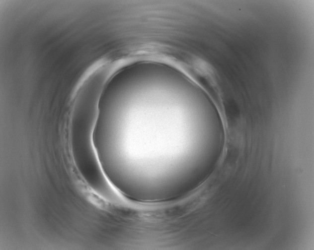 X0000082151138200701262301
