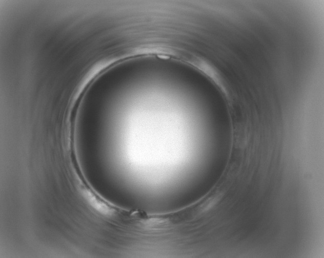 X0000082151140200701262302