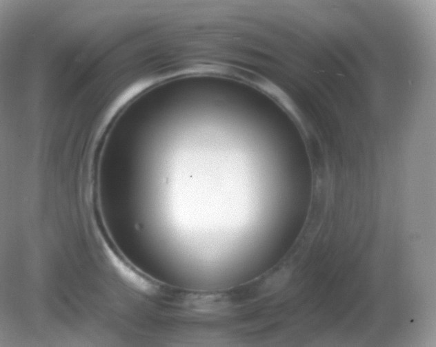 X0000082151143200701262302