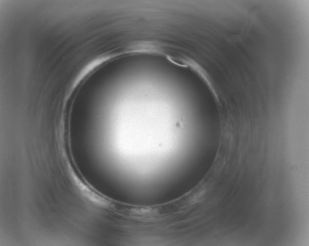X0000082151147200701262302
