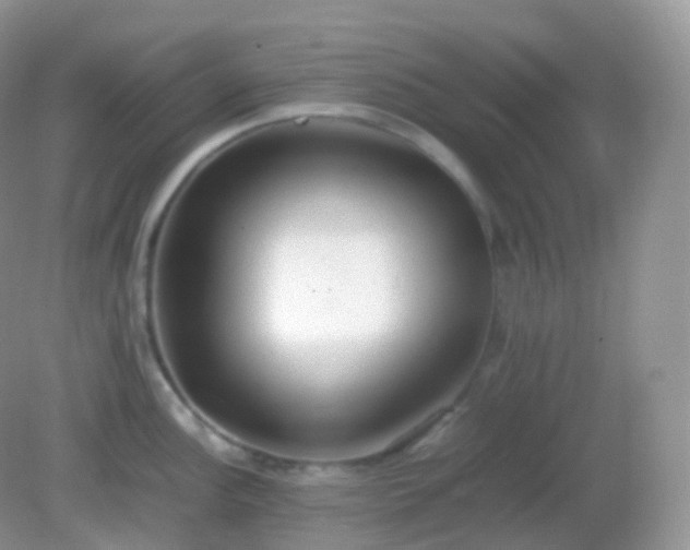 X0000082151148200701262302