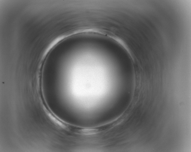 X0000082151151200701262302