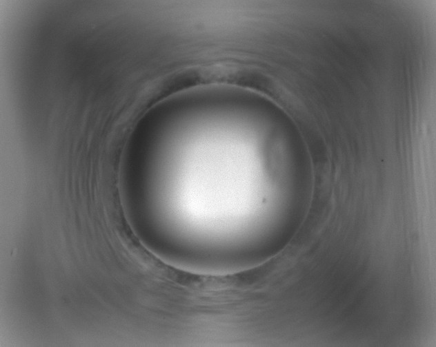 X0000082151153200701262301