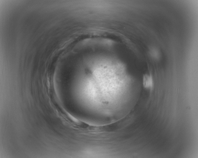 X0000082151155200701262301