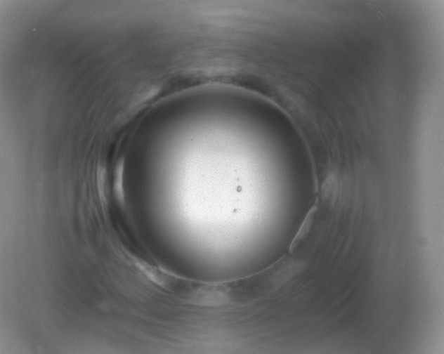 X0000082151156200701262301