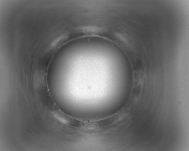 X0000082151157200701262301