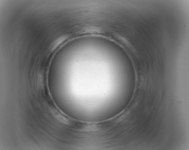 X0000082151162200701262301