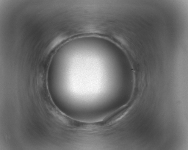 X0000082151163200701262301