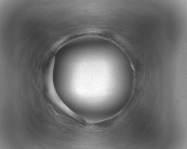 X0000082151169200701262301