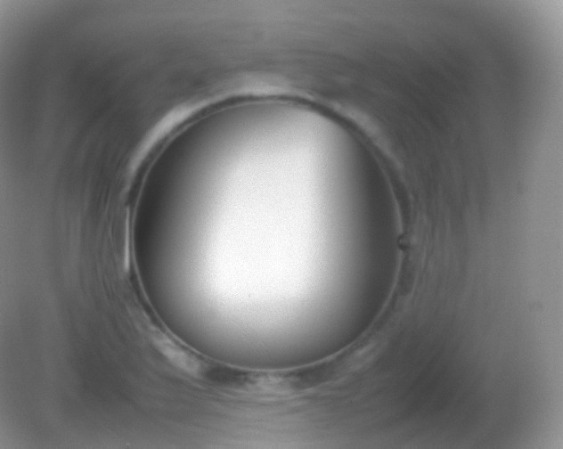 X0000082151175200701262301