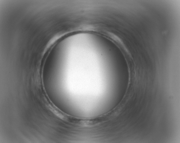 X0000082151176200701262301