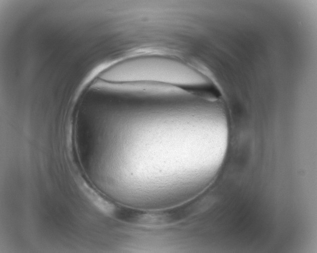 X0000082151179200701262300