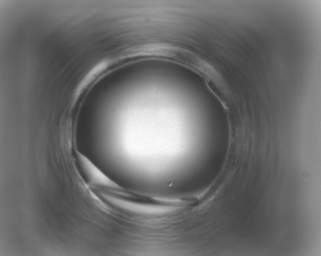 X0000082151180200701262300