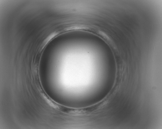 X0000082151185200701262300