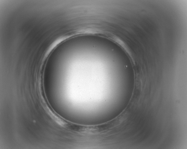 X0000082151187200701262300