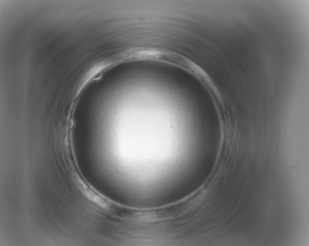 X0000082151194200701262300