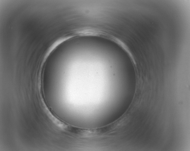X0000082151195200701262300
