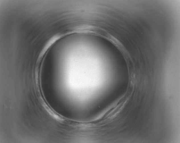 X0000082151196200701262300