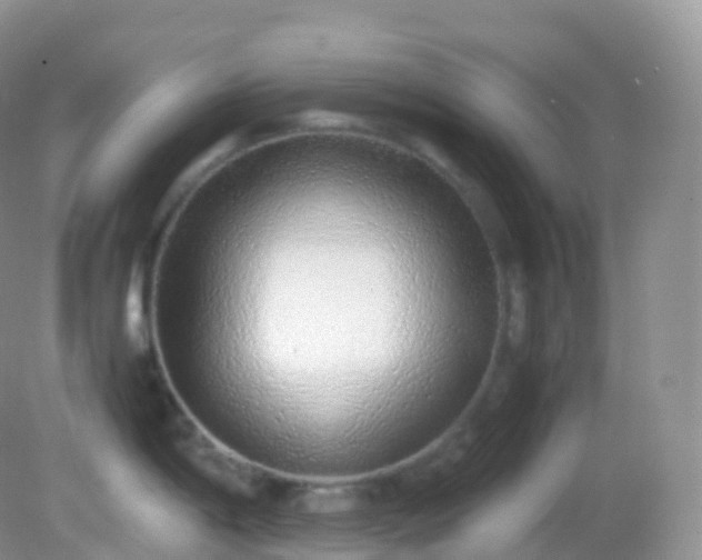 X0000082151198200701262300