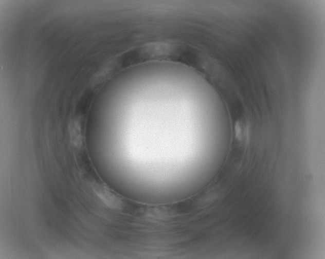 X0000082151203200701262259