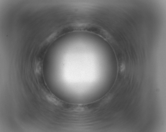 X0000082151204200701262259