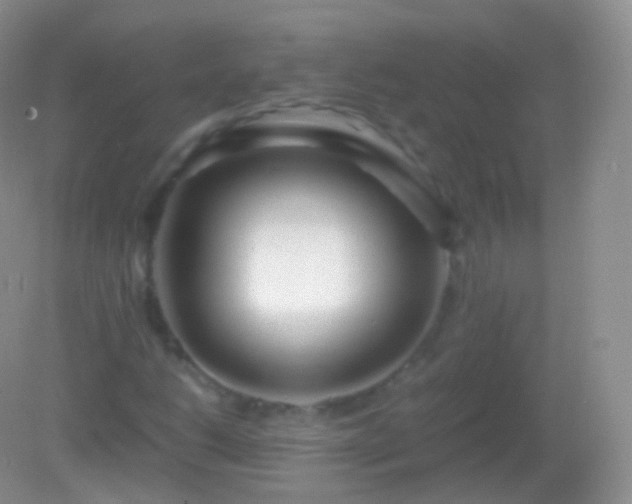 X0000082151206200701262259