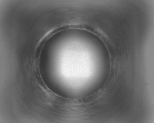 X0000082151208200701262259