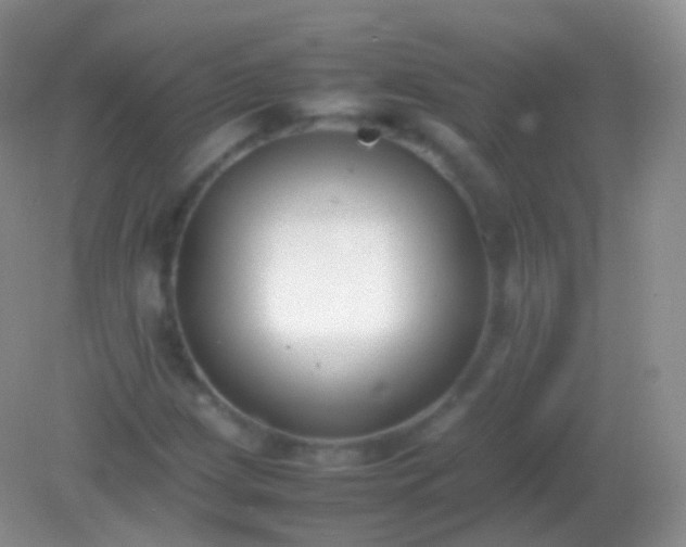 X0000082151209200701262259