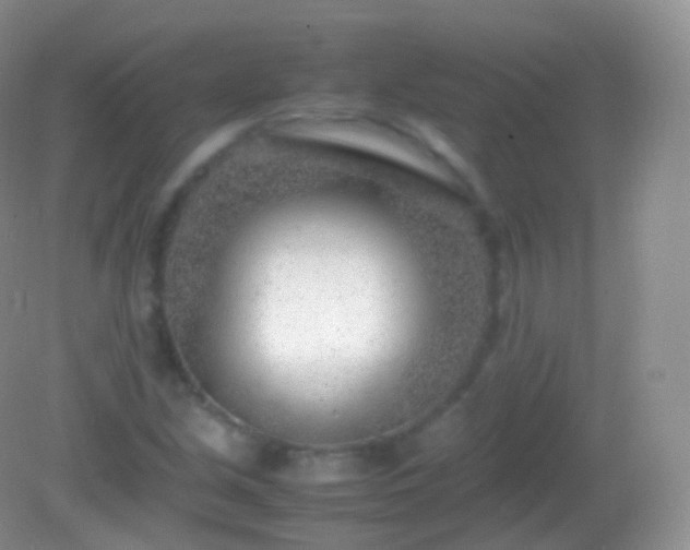X0000082151213200701262300