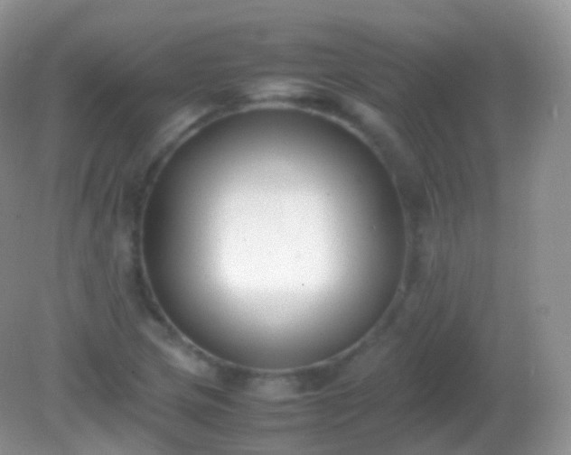 X0000082151217200701262300