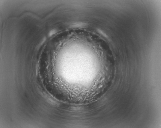 X0000082151219200701262300
