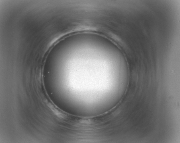 X0000082151220200701262300