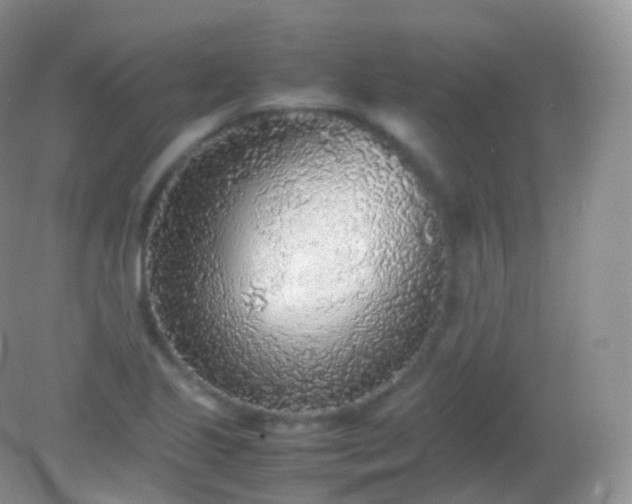 X0000082151221200701262300