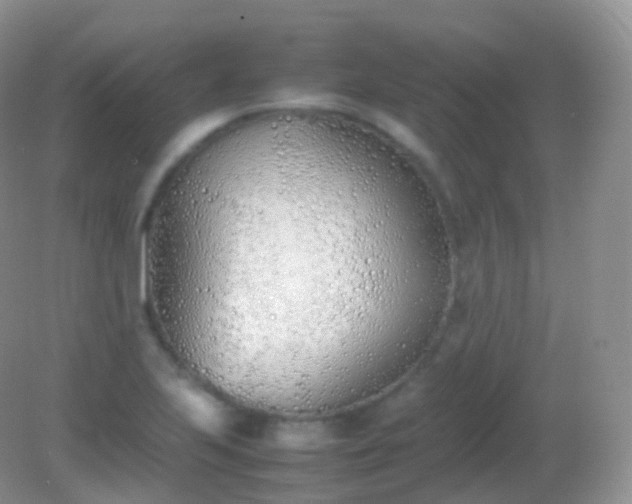 X0000082151223200701262300