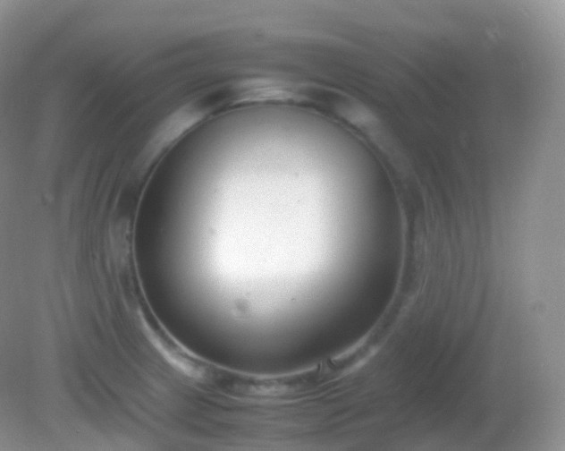 X0000082151233200701262300