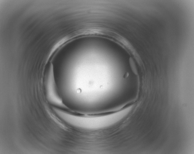 X0000082151234200701262300