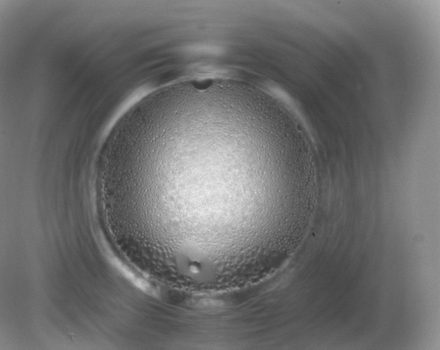 X0000082151235200701262300