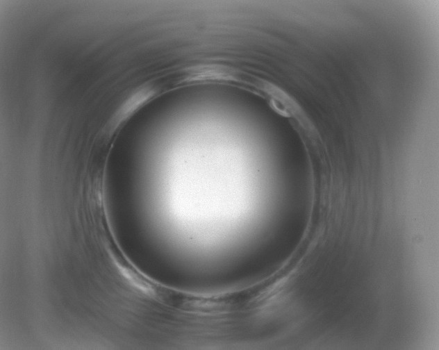 X0000082151241200701262300